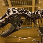 What Happened Today - October 12, 2025