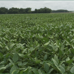 What Happened Today - October 5, 2025