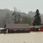 Flooded farm buildings surrounded by floodwater in Kent, Washington, December 2025, after Desimone Levee failure near Seattle