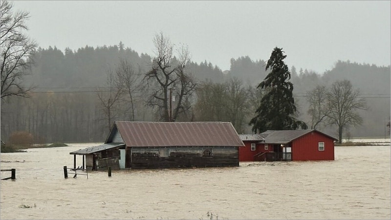 Flooded farm buildings surrounded by floodwater in Kent, Washington, December 2025, after Desimone Levee failure near Seattle