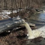Large pipes discharge foaming wastewater into a snow-lined tributary of the Potomac River during a weeks-long sewage spill from federally regulated infrastructure near Washington, D.C.