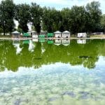 Green algae covers the Lincoln Memorial Reflecting Pool, with National Park Service cleanup equipment lined up along the far bank