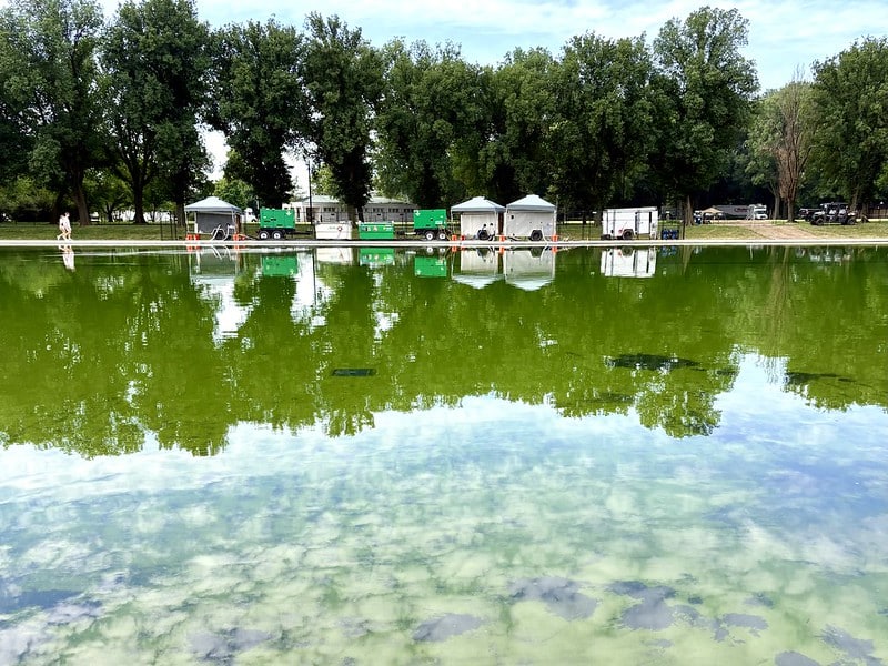 Green algae covers the Lincoln Memorial Reflecting Pool, with National Park Service cleanup equipment lined up along the far bank