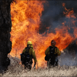 Two wildland firefighters in yellow gear stand before a wall of flames in dry grassland