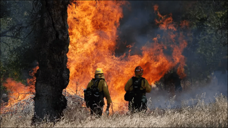 Two wildland firefighters in yellow gear stand before a wall of flames in dry grassland