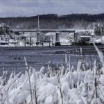 Snow-covered marsh grasses and docks at Apponaug Cove in Warwick, Rhode Island, with waterfowl on the winter water